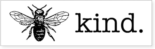 Be Kind 10"X3" Rectangle Vinyl Bumper Sticker Car Decal